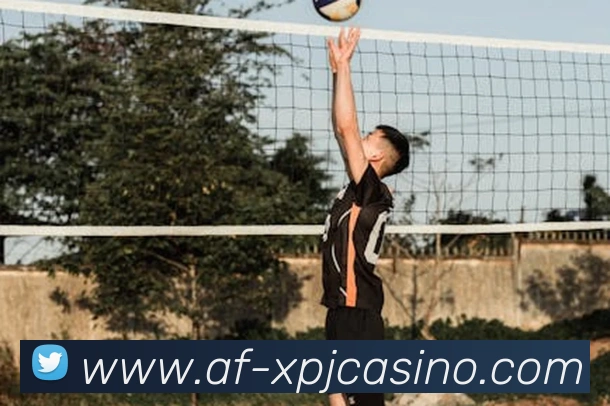 澳门新葡京娱乐平台生态图